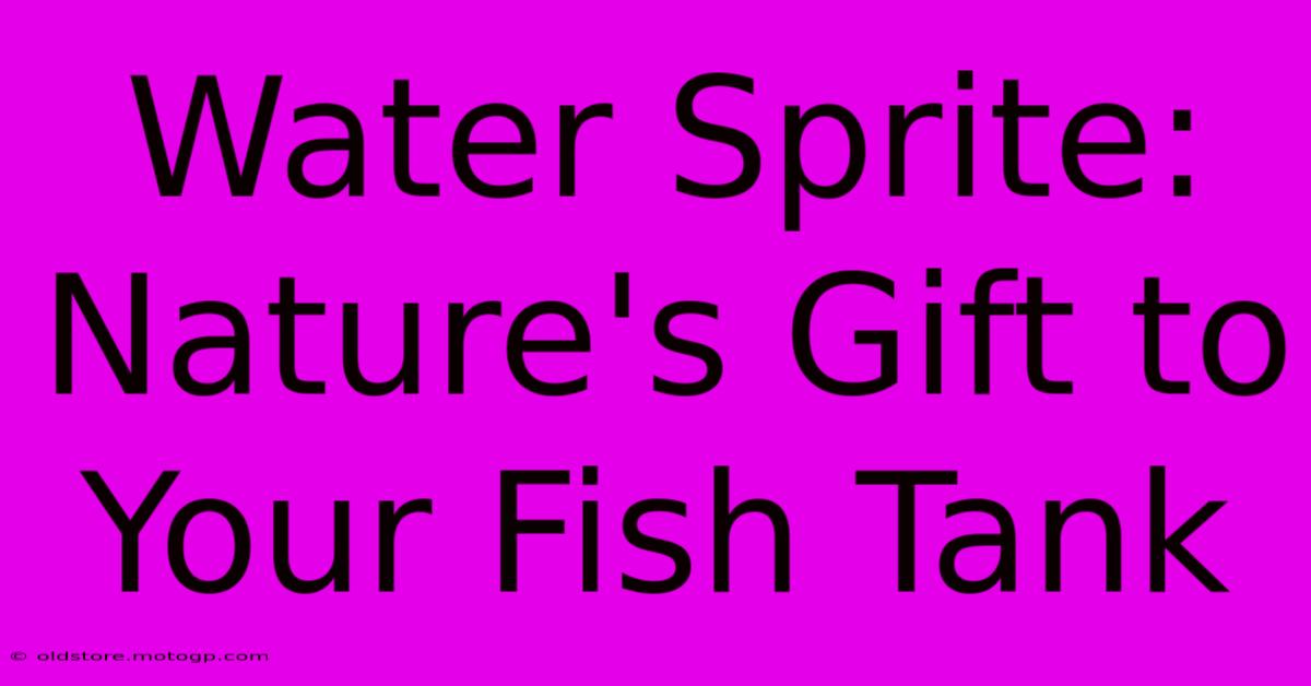 Water Sprite: Nature's Gift To Your Fish Tank