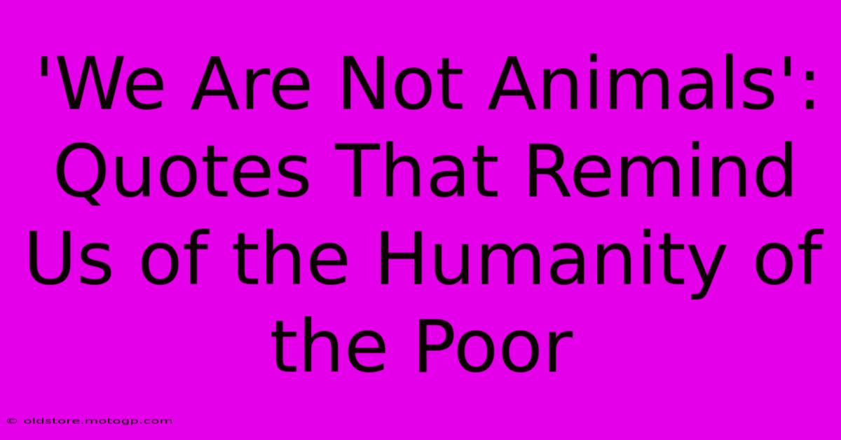 'We Are Not Animals': Quotes That Remind Us Of The Humanity Of The Poor