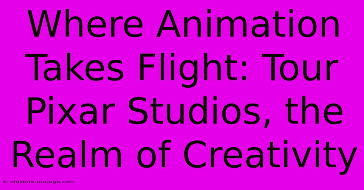 Where Animation Takes Flight: Tour Pixar Studios, The Realm Of Creativity