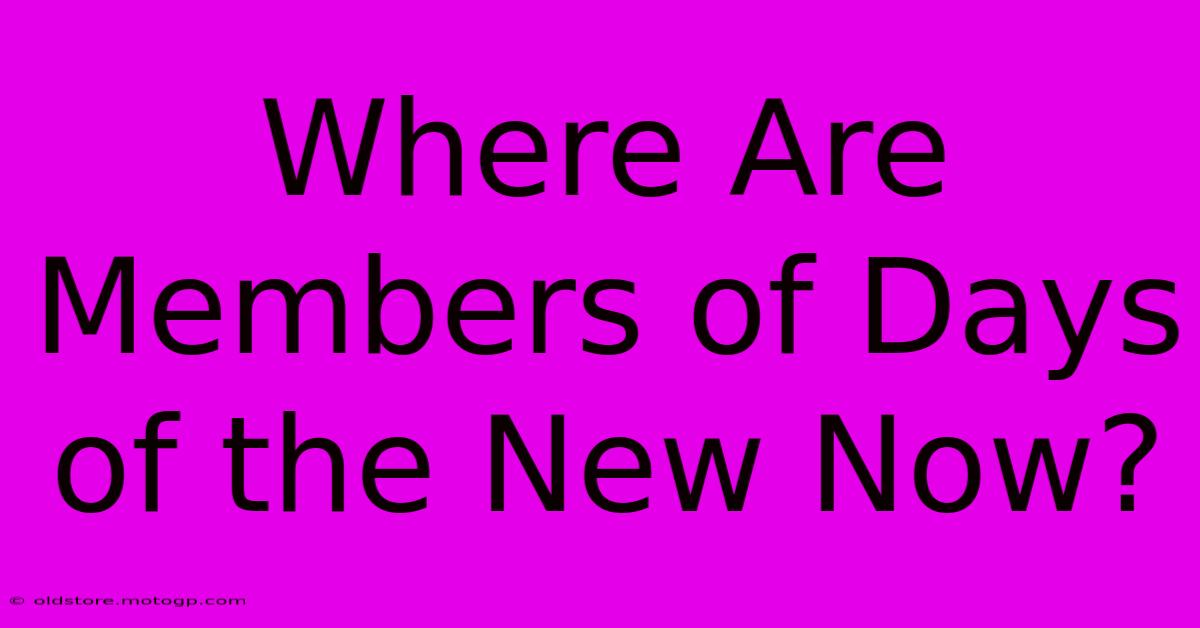 Where Are Members Of Days Of The New Now?