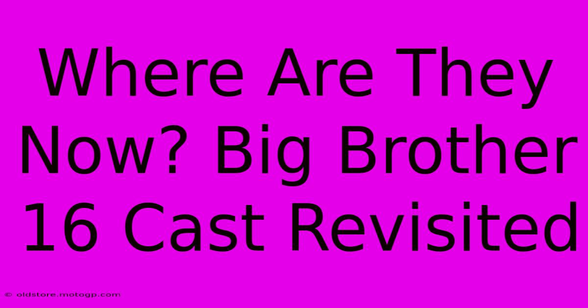 Where Are They Now? Big Brother 16 Cast Revisited