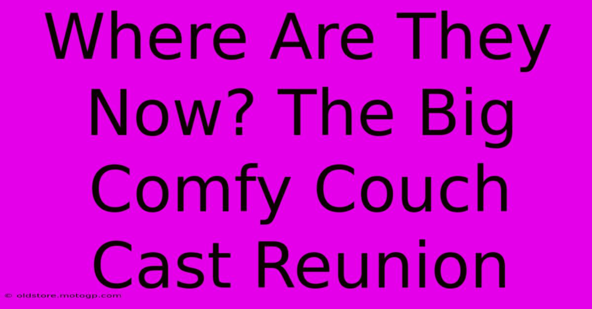 Where Are They Now? The Big Comfy Couch Cast Reunion