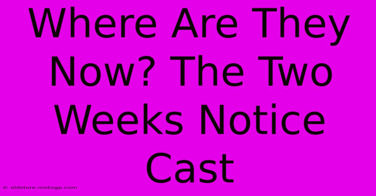 Where Are They Now? The Two Weeks Notice Cast