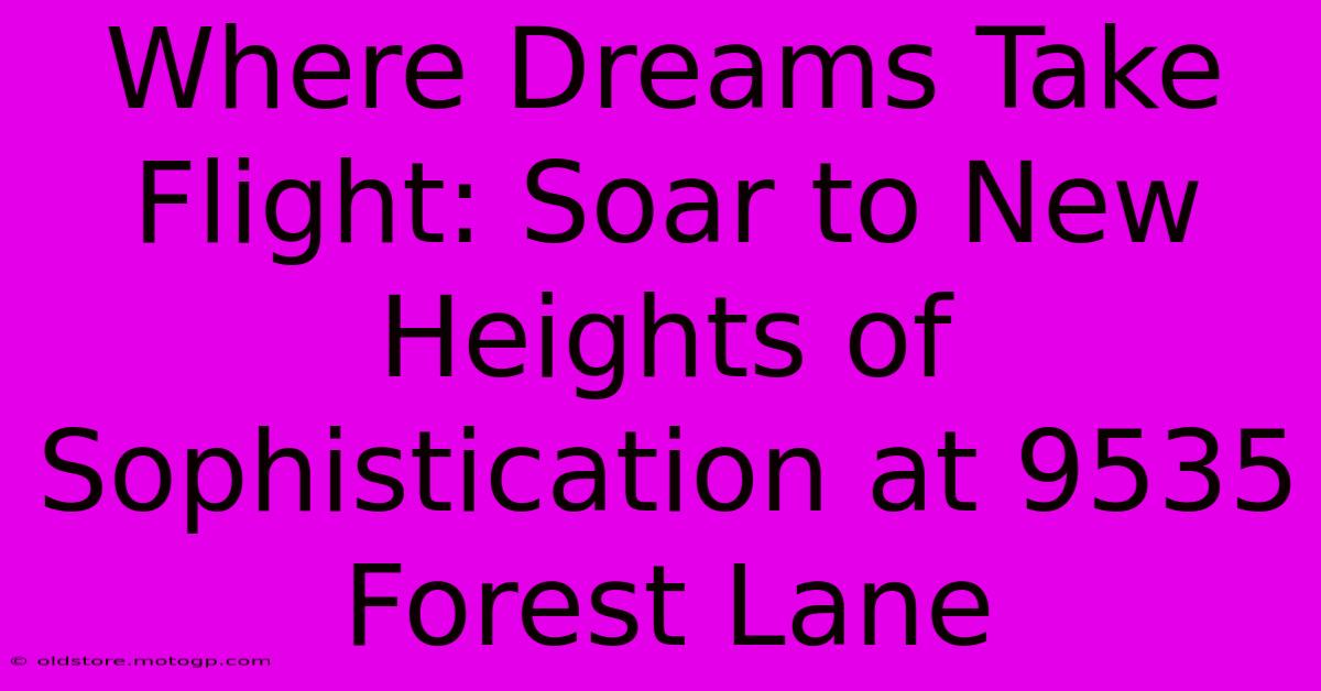 Where Dreams Take Flight: Soar To New Heights Of Sophistication At 9535 Forest Lane