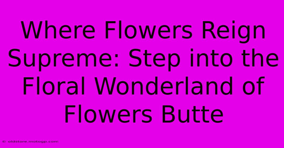 Where Flowers Reign Supreme: Step Into The Floral Wonderland Of Flowers Butte