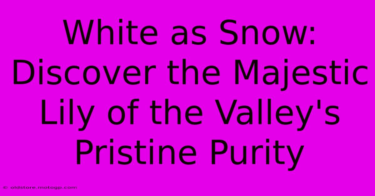 White As Snow: Discover The Majestic Lily Of The Valley's Pristine Purity