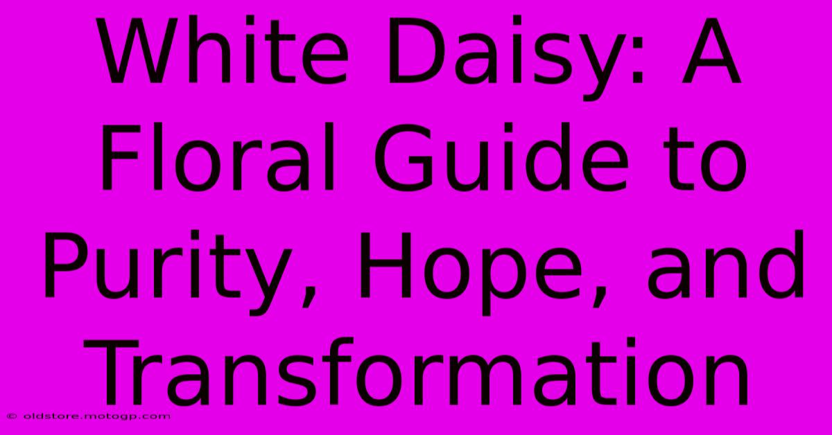 White Daisy: A Floral Guide To Purity, Hope, And Transformation