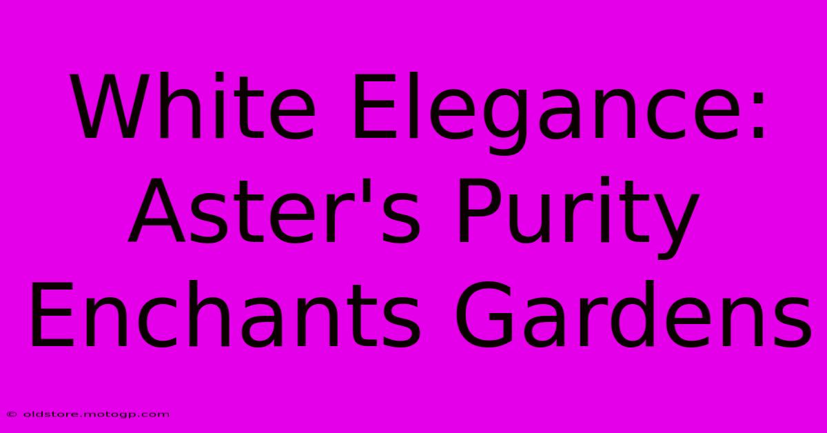 White Elegance: Aster's Purity Enchants Gardens