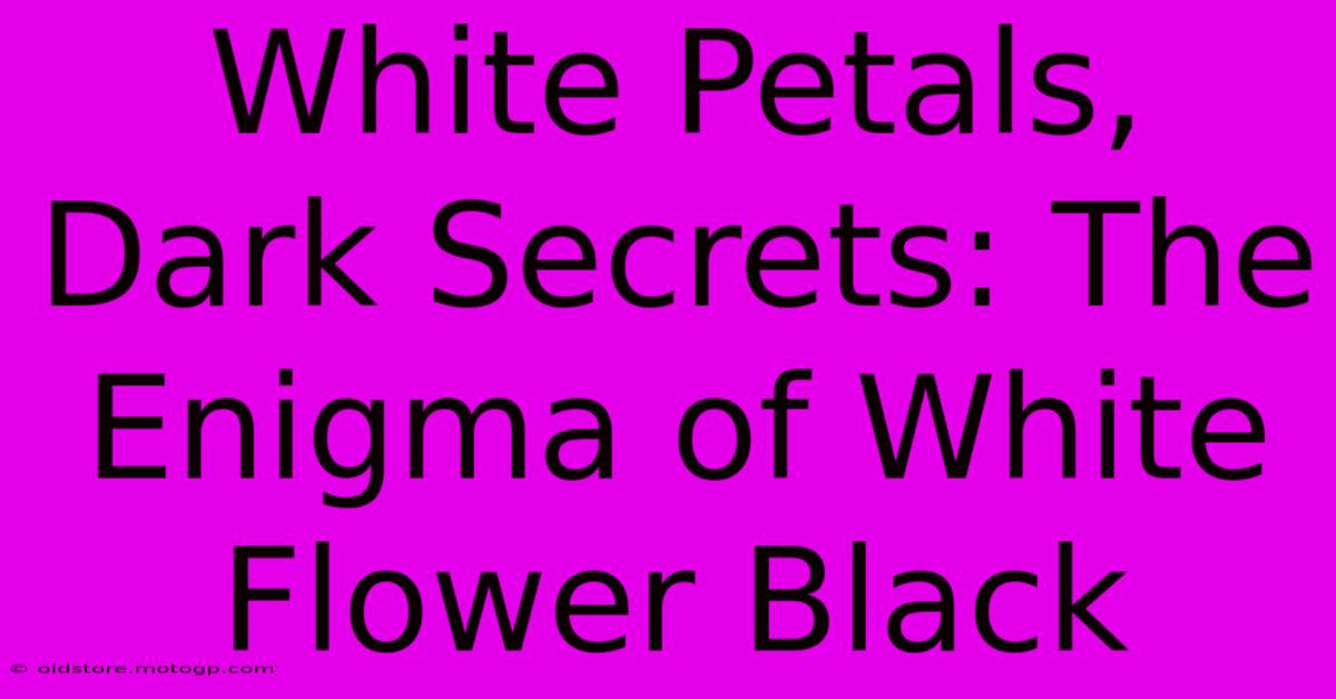 White Petals, Dark Secrets: The Enigma Of White Flower Black