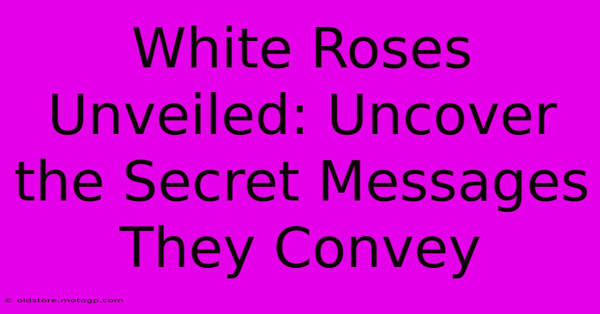 White Roses Unveiled: Uncover The Secret Messages They Convey