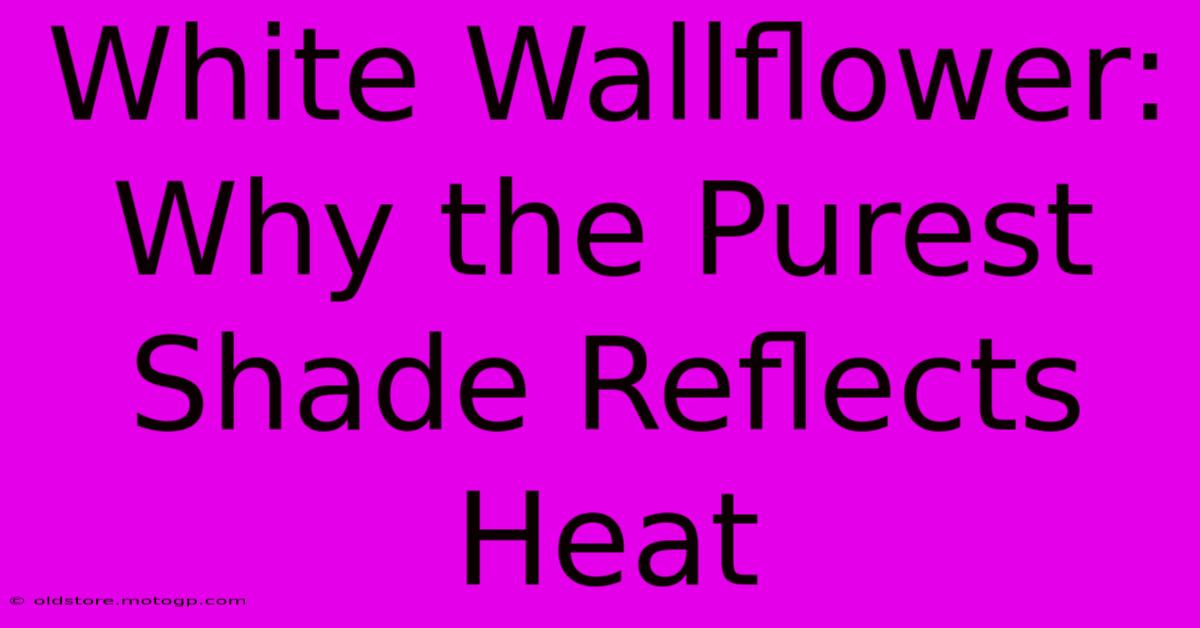 White Wallflower: Why The Purest Shade Reflects Heat