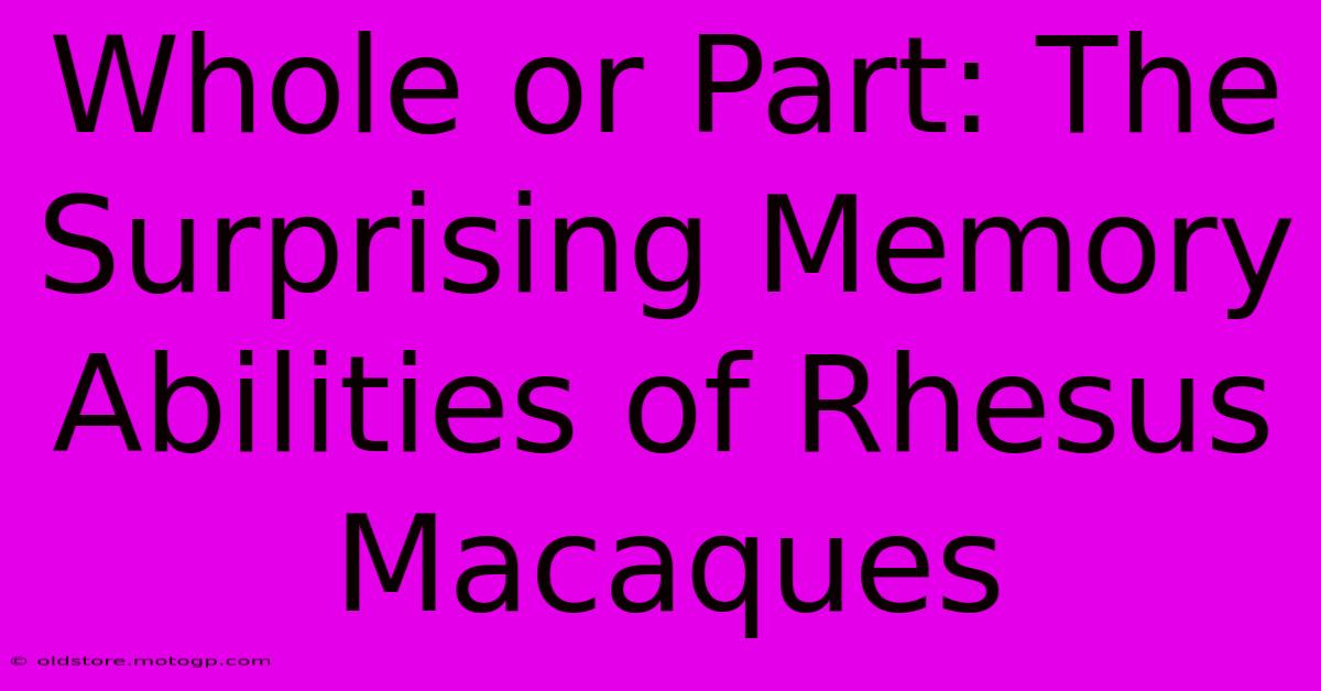 Whole Or Part: The Surprising Memory Abilities Of Rhesus Macaques