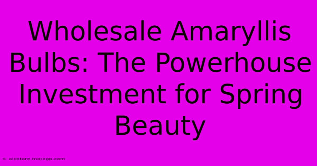 Wholesale Amaryllis Bulbs: The Powerhouse Investment For Spring Beauty