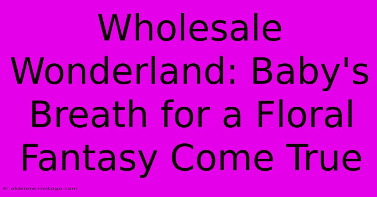 Wholesale Wonderland: Baby's Breath For A Floral Fantasy Come True