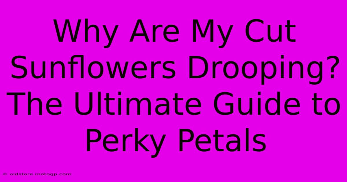 Why Are My Cut Sunflowers Drooping? The Ultimate Guide To Perky Petals