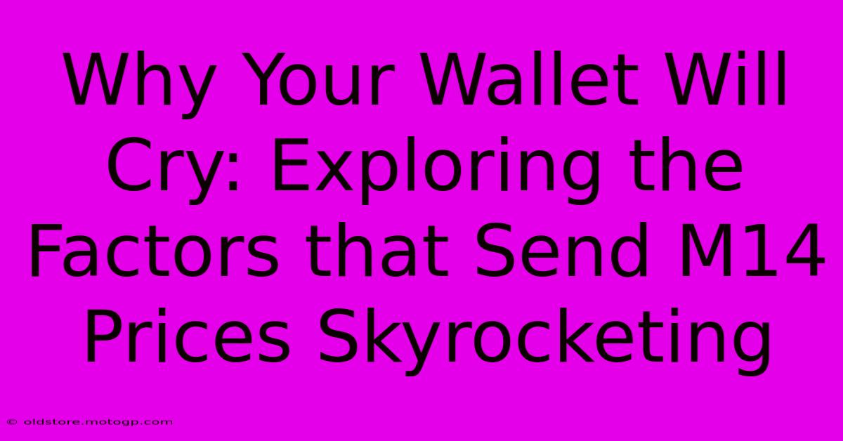 Why Your Wallet Will Cry: Exploring The Factors That Send M14 Prices Skyrocketing