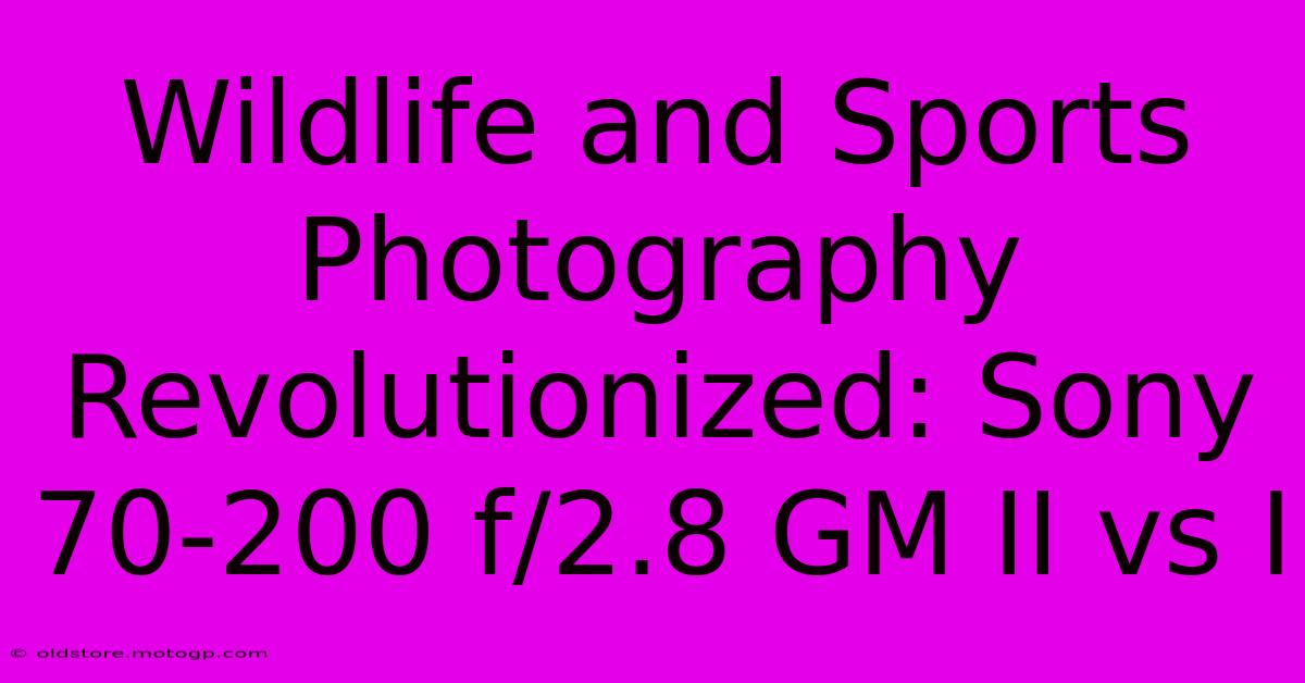 Wildlife And Sports Photography Revolutionized: Sony 70-200 F/2.8 GM II Vs I