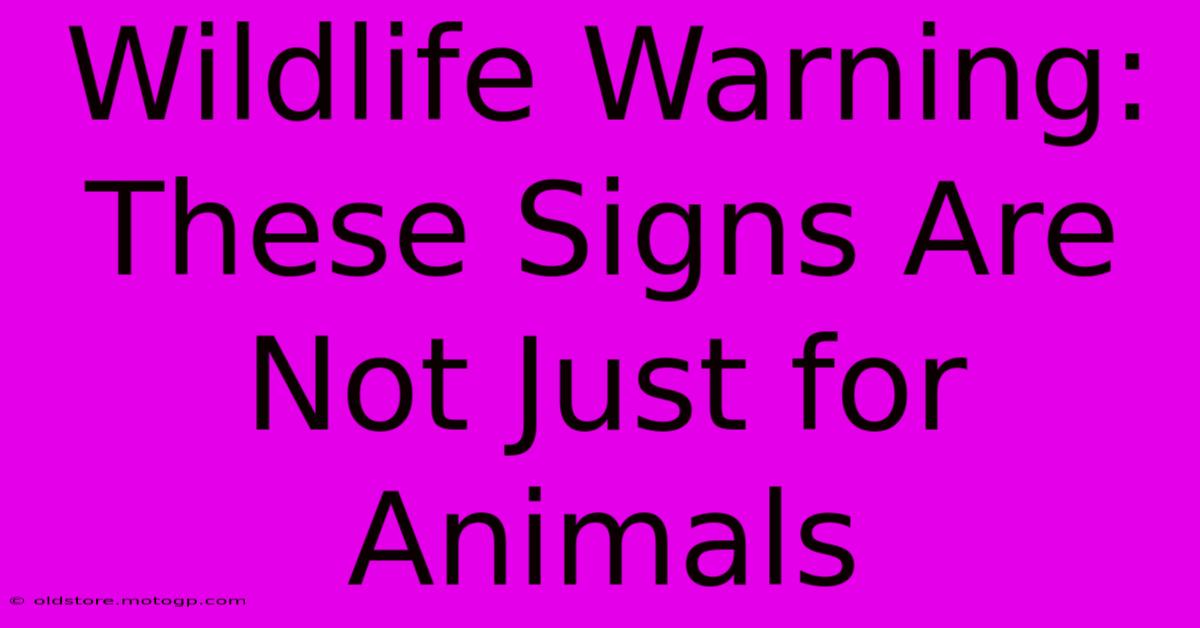 Wildlife Warning: These Signs Are Not Just For Animals