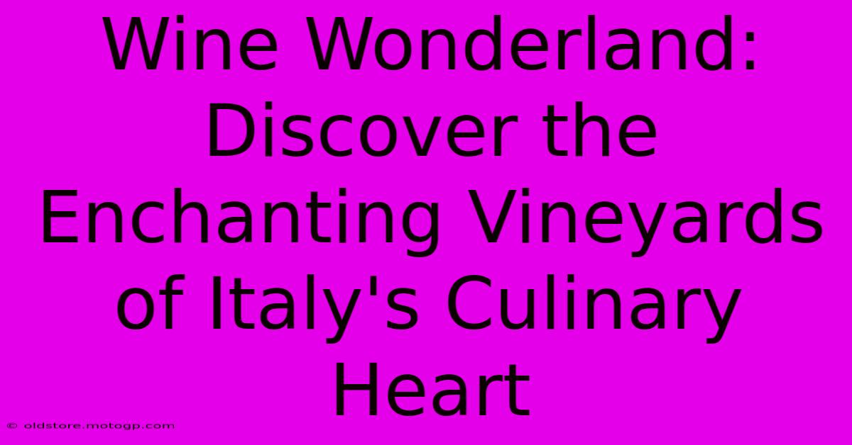 Wine Wonderland: Discover The Enchanting Vineyards Of Italy's Culinary Heart