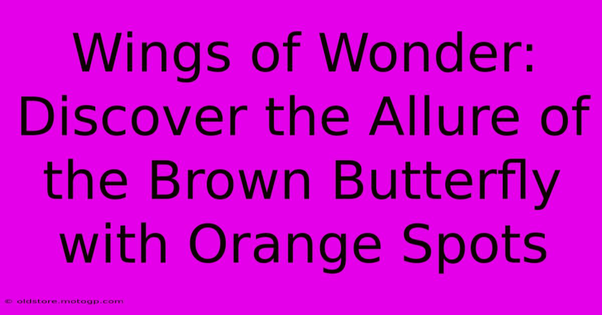 Wings Of Wonder: Discover The Allure Of The Brown Butterfly With Orange Spots