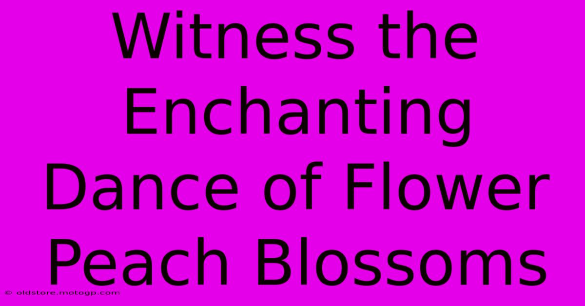 Witness The Enchanting Dance Of Flower Peach Blossoms