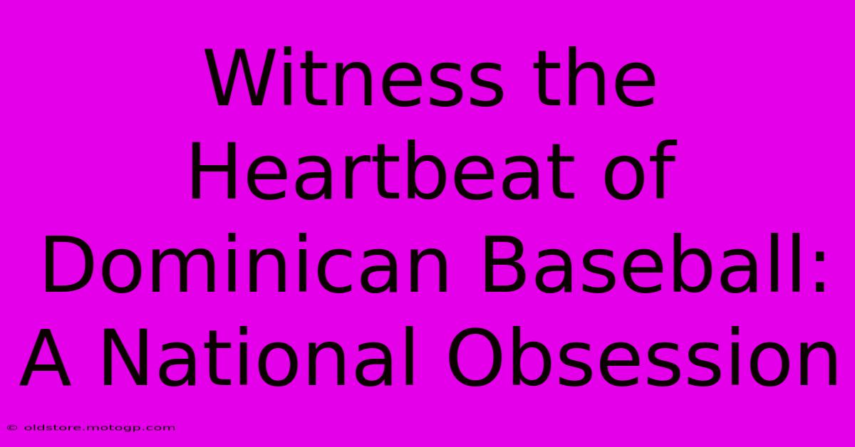 Witness The Heartbeat Of Dominican Baseball: A National Obsession