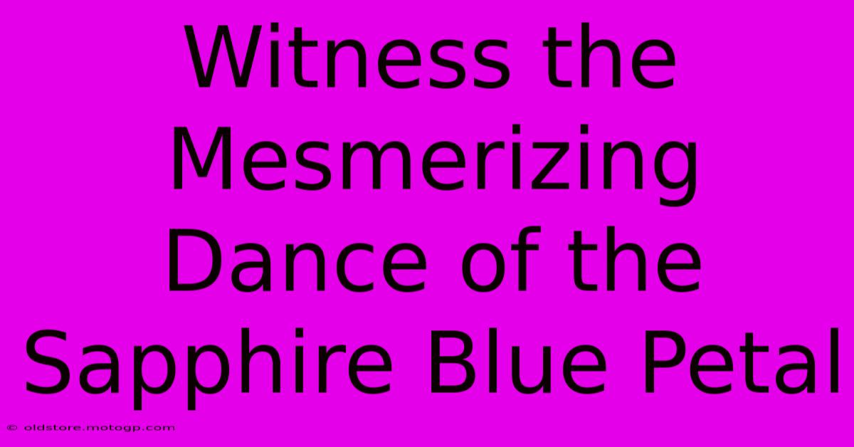 Witness The Mesmerizing Dance Of The Sapphire Blue Petal