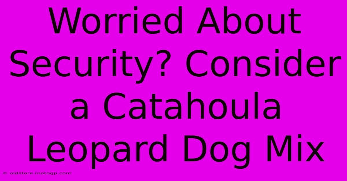 Worried About Security? Consider A Catahoula Leopard Dog Mix