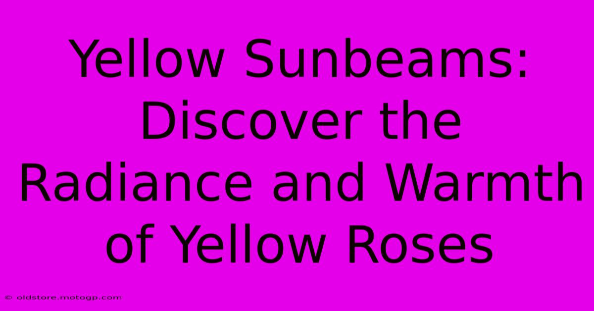 Yellow Sunbeams: Discover The Radiance And Warmth Of Yellow Roses