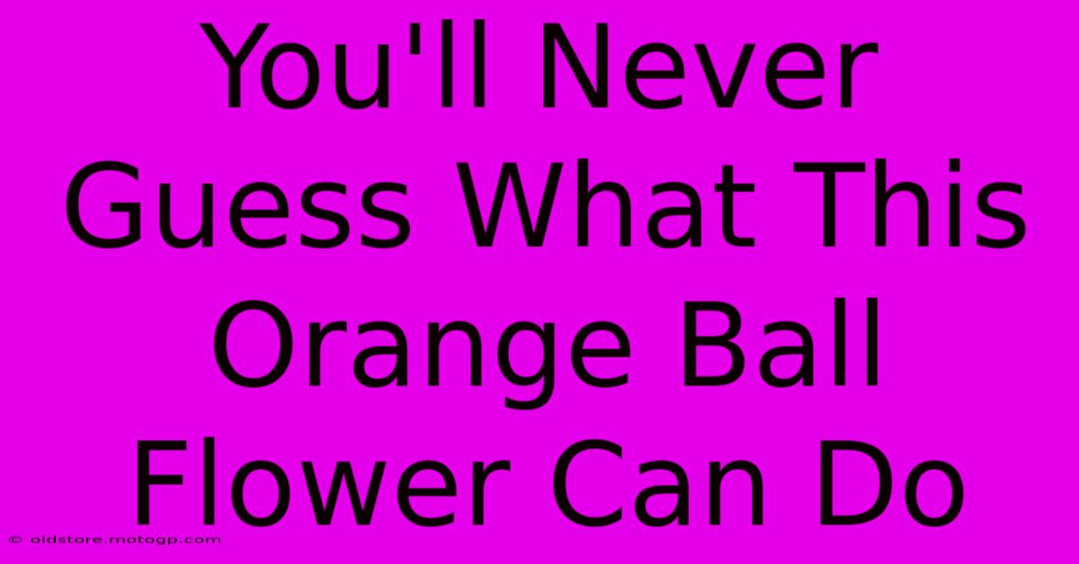 You'll Never Guess What This Orange Ball Flower Can Do