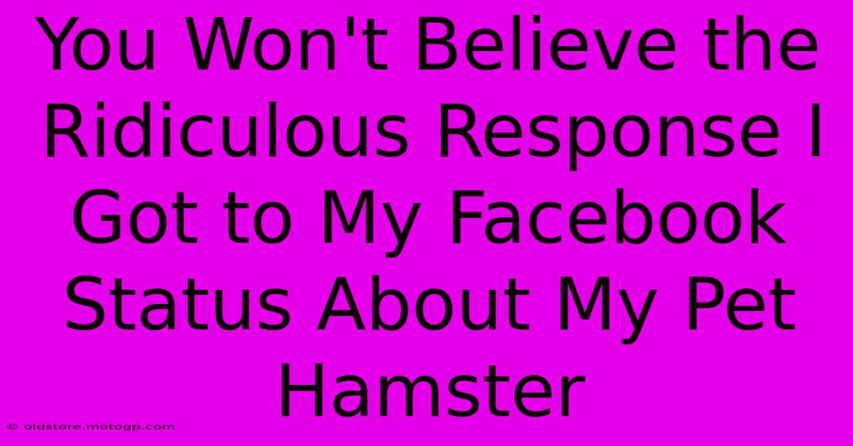 You Won't Believe The Ridiculous Response I Got To My Facebook Status About My Pet Hamster