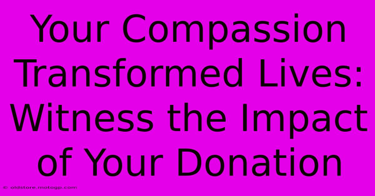 Your Compassion Transformed Lives: Witness The Impact Of Your Donation