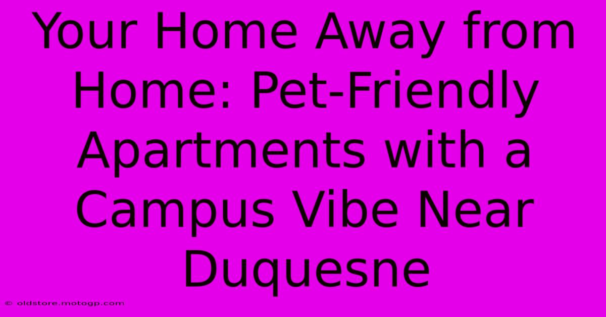 Your Home Away From Home: Pet-Friendly Apartments With A Campus Vibe Near Duquesne