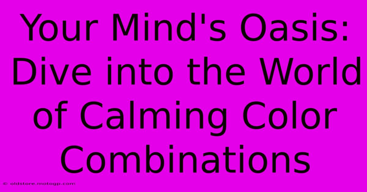 Your Mind's Oasis: Dive Into The World Of Calming Color Combinations