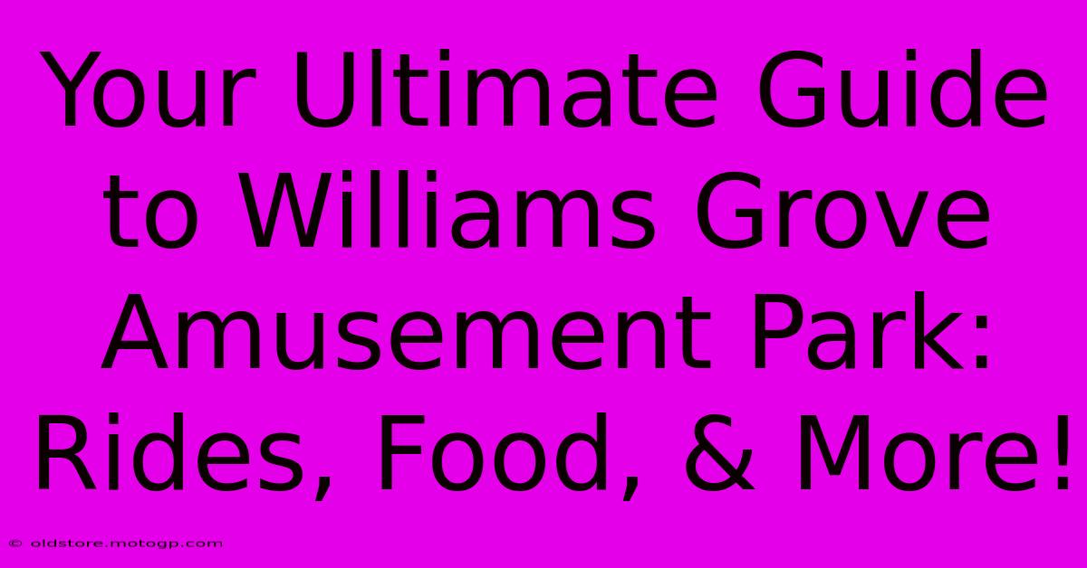 Your Ultimate Guide To Williams Grove Amusement Park: Rides, Food, & More!