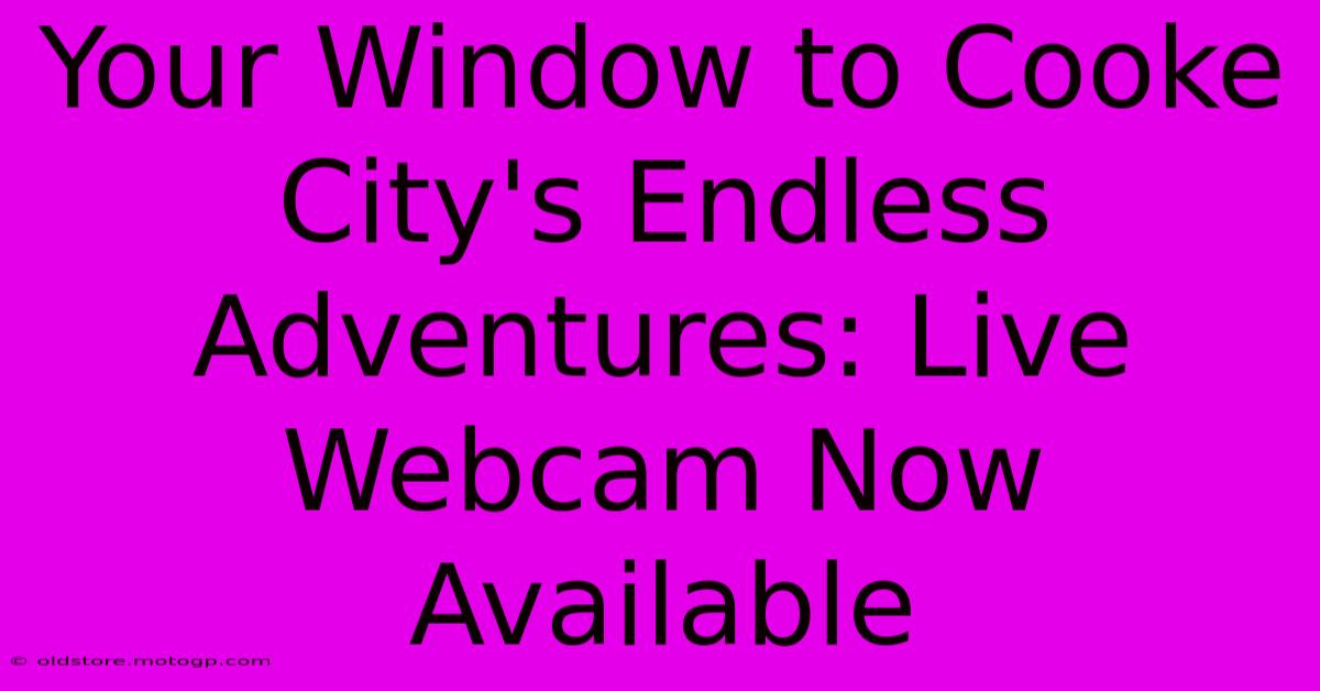 Your Window To Cooke City's Endless Adventures: Live Webcam Now Available